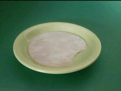 Jun kombucha scoby tee pilz - scoby/tee,