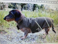 Hundemantel   /  grün / für