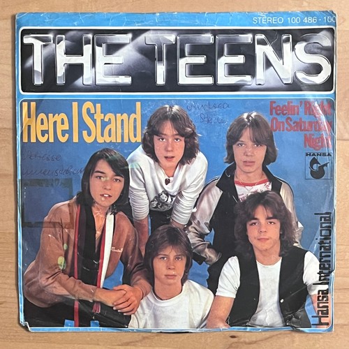 Vinyl single the teens - vinyl,