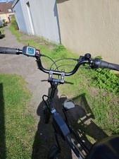 Dreirädiges E-Bike von Pfautec Scoobo  7-Gang Nabenschaltung Freilauf