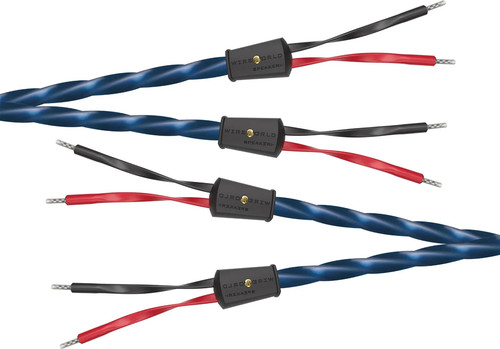 Wireworld oasis - oasis, 10