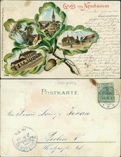 Litho Kleblatt Neudamm (Neumark) Dębno Bahnhof,  Myśliborski   Soldin)  1901