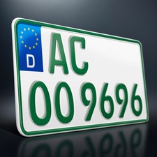 1 Kennzeichen in GRÜN | 255 x