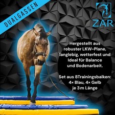 Pferdetraining Stangen 8stk