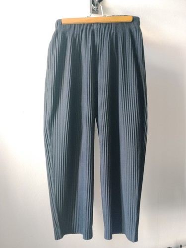 Homme plissé issey miyake - homme,