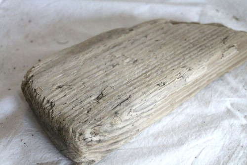 Schwemmholz treibholz brett - treibholz,