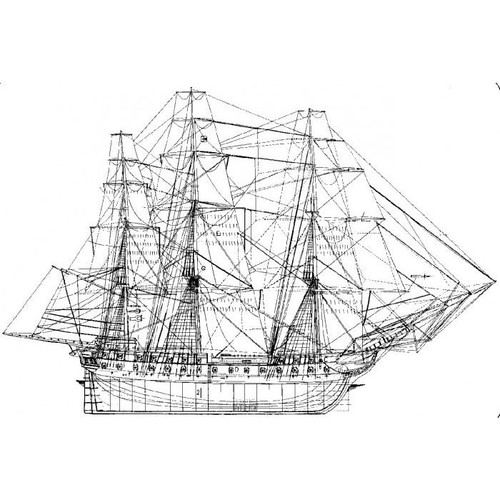 Bauplan constitution - bauplan,