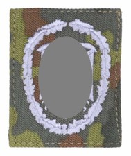 Leistungsabzeichen der