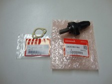 Steuerkettenspanner Dichtung