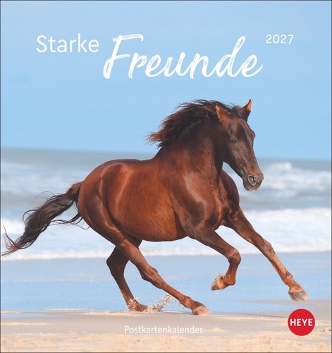 Pferde postkartenkalender 2027 - pferde,