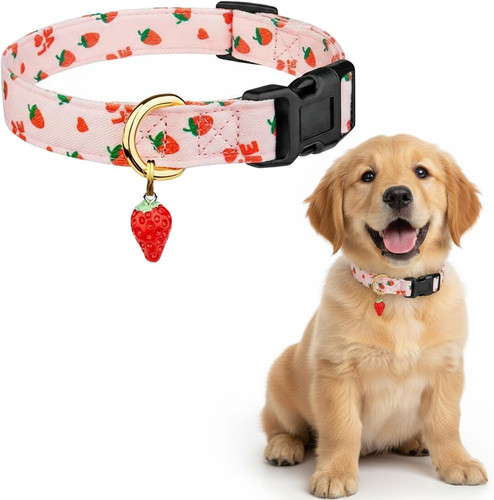 Hundehalsband aus baumwolle - hundehalsband,
