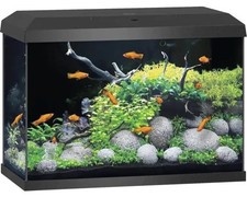 Aquarium JUWEL Primo 70 inkl. Abdeckung mit LED-Beleuchtung, Heizer, Filter ohne