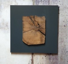 Wandbilder Eichenstamm Eiche