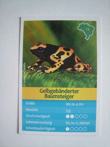 Entdecke brasilien - entdecke,