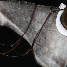 Collegiate hunter brustplatte - collegiate,