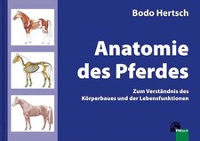 Anatomie des Pferdes | Zum