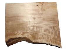 Pappel maser holz - pappel,