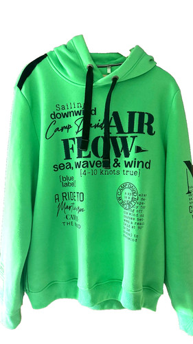 Camp david hoodie - camp,