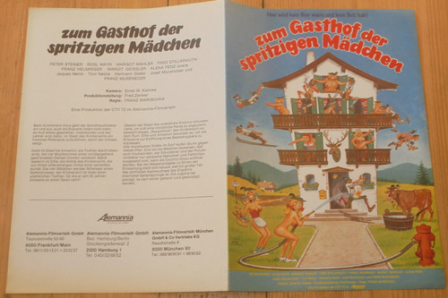Zum gasthof der spritzigen - gasthof,