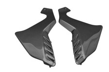 Carbon Rahmenschutz für Honda