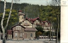 Ak Netzkater Ilfeld am Harz Thüringen, Historisches Gebäude,... - 4776929