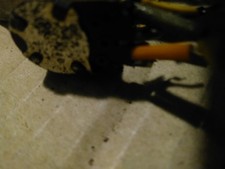 Quelle Simonetta Stereo Super