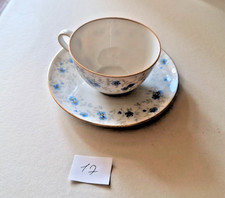 Arzberg Tasse und Untertasse