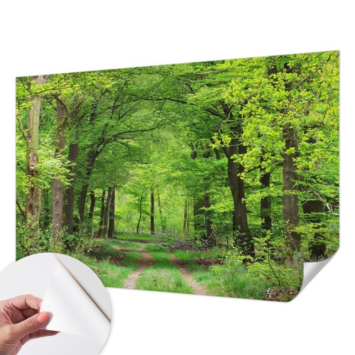 Selbstklebende wand folie ohne - wand,