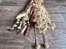 Nr. 162 Trockenblumen natur/rosa 20-50cm