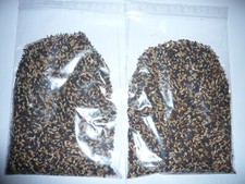 600 g / 0,6 Kg Kanarienfutter