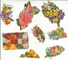 8 Glanzbilder Posiebilder