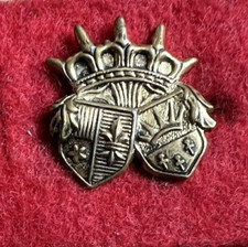 Abzeichen -  Anstecknadel -  Pin - UNBEKANNT ?????????