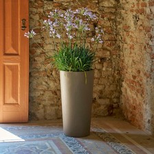 Blumentopf mit pflanzeinsatz - blumentopf,