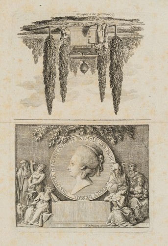 Chodowiecki - d., (*1726)