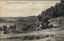 Ak Waldau Bernburg an der Saale, Landschaftsaufnahme, Steinbacher... - 4732442