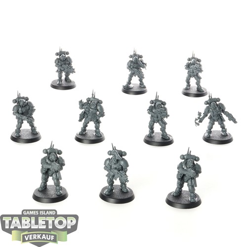 Space wolves 10x - -, primaris