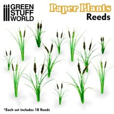 Papierpflanzen schilf - papierpflanzen,