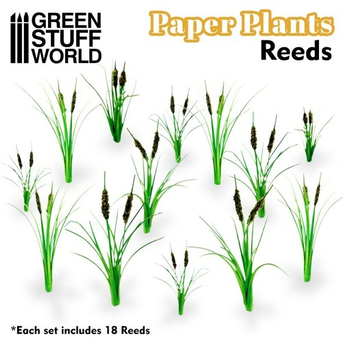 Papierpflanzen schilf - -,