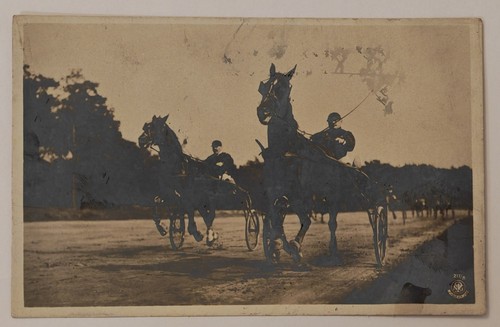 Harness horse racing sulky - harness,