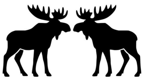 Elch links rechts - elch,