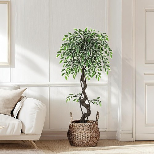 Künstlicher ficus baum - künstlicher,