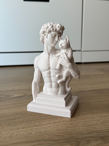 David statue büste mit - statue, katze
