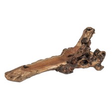 Dekoobjekt, Schale aus