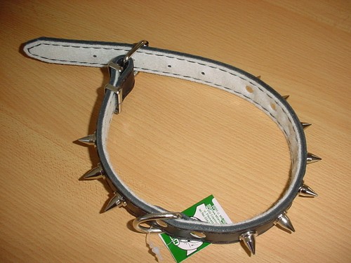 Hundehalsband mit