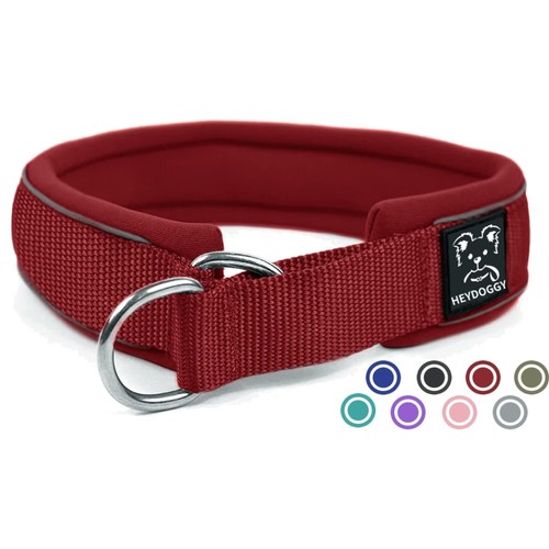 Hundehalsband neopren nylon - hundehalsband,