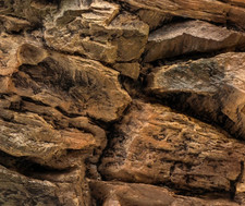 3D Aquarium Rückwand