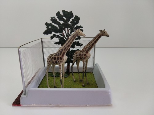 Zoo diorama giraffen dekor - -, (dekor