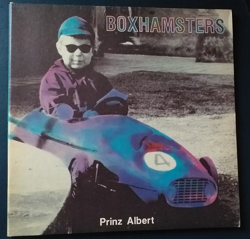 Boxhamsters prinz albert - boxhamsters,