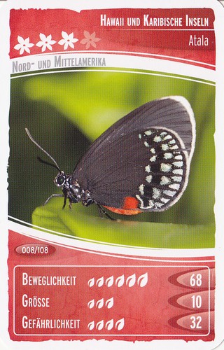 Netto ozeanien - , 2