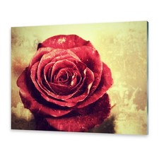 Acrylglasbilder Wandbild aus